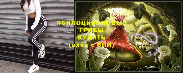 прущая мука Абаза