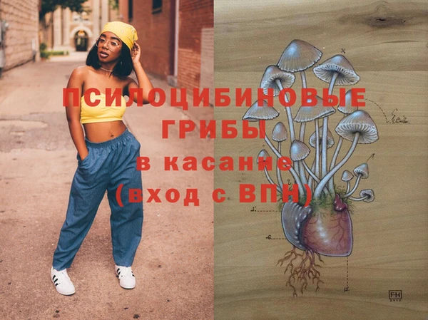 бутират Бикин