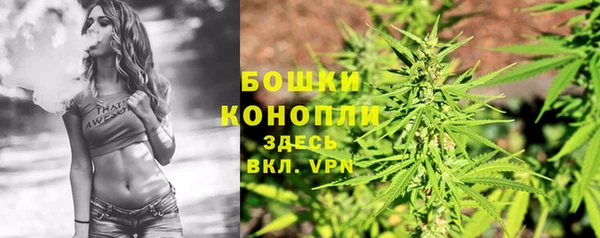 гашик Осташков