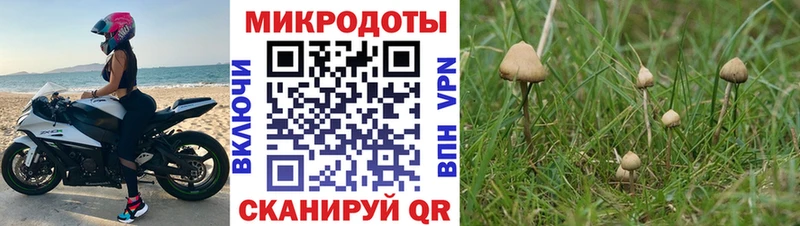 Галлюциногенные грибы Psilocybe  где можно купить наркотик  Донецк 